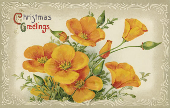 Immagini Natalizie Vintage